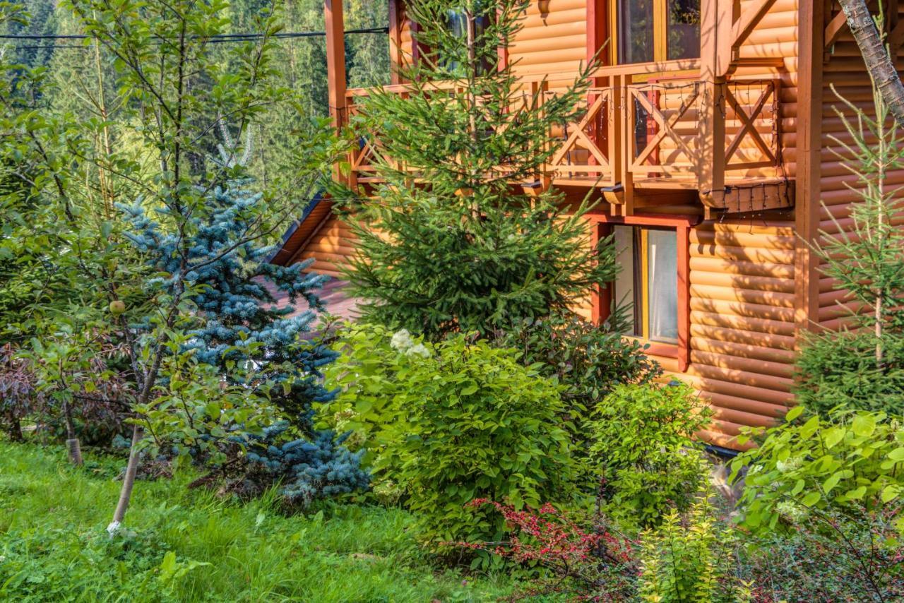 Karpatska Villa Mykulychyn Bagian luar foto