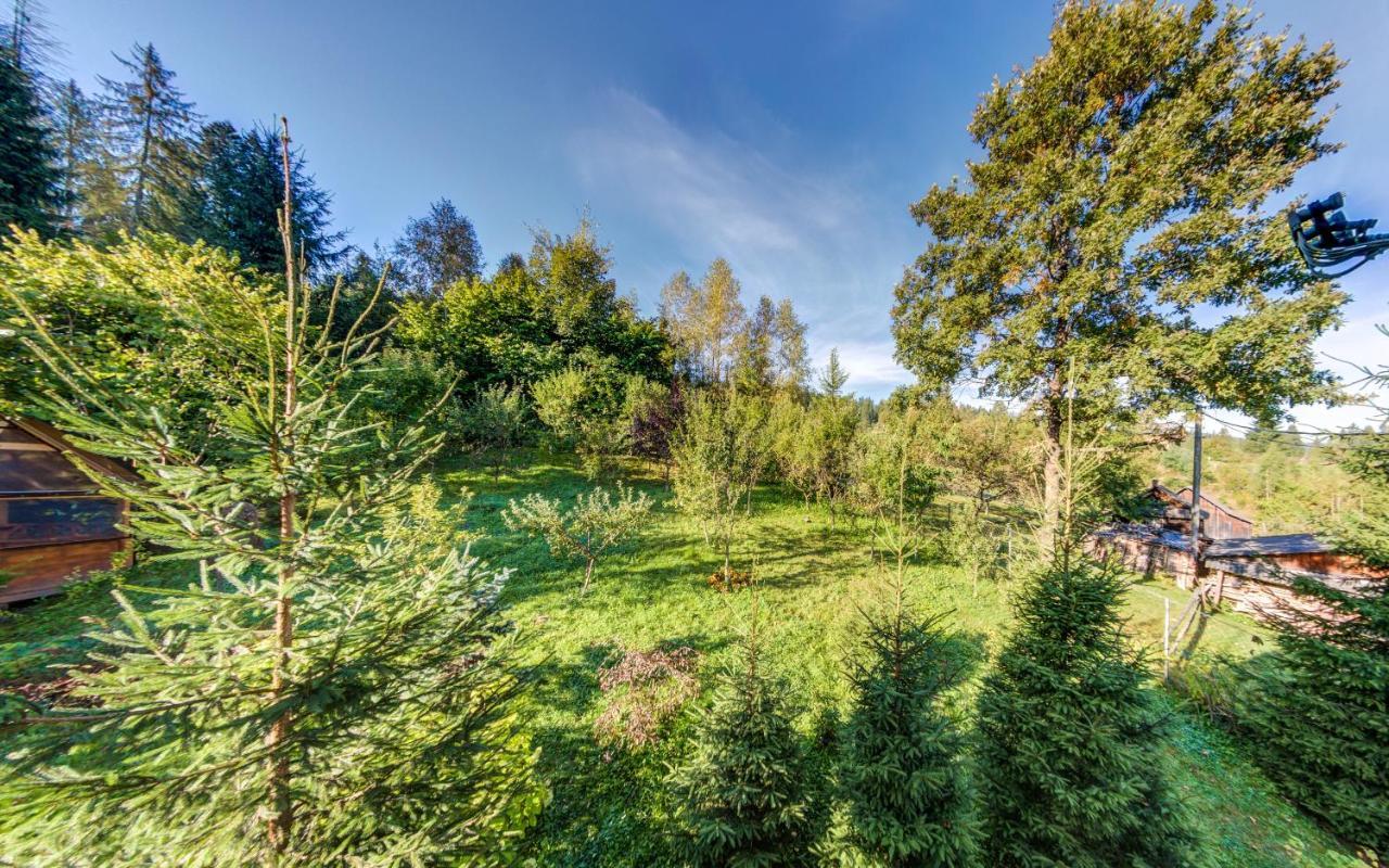 Karpatska Villa Mykulychyn Bagian luar foto
