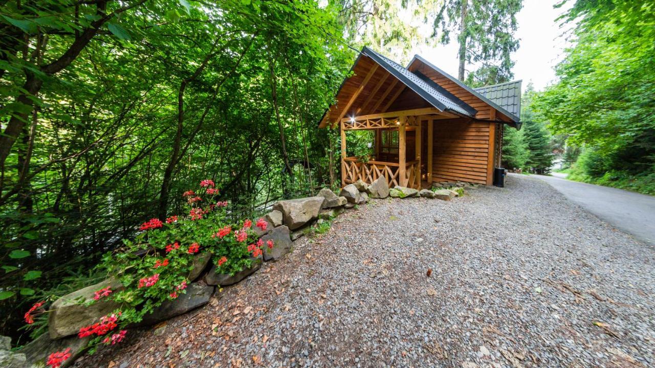 Karpatska Villa Mykulychyn Bagian luar foto