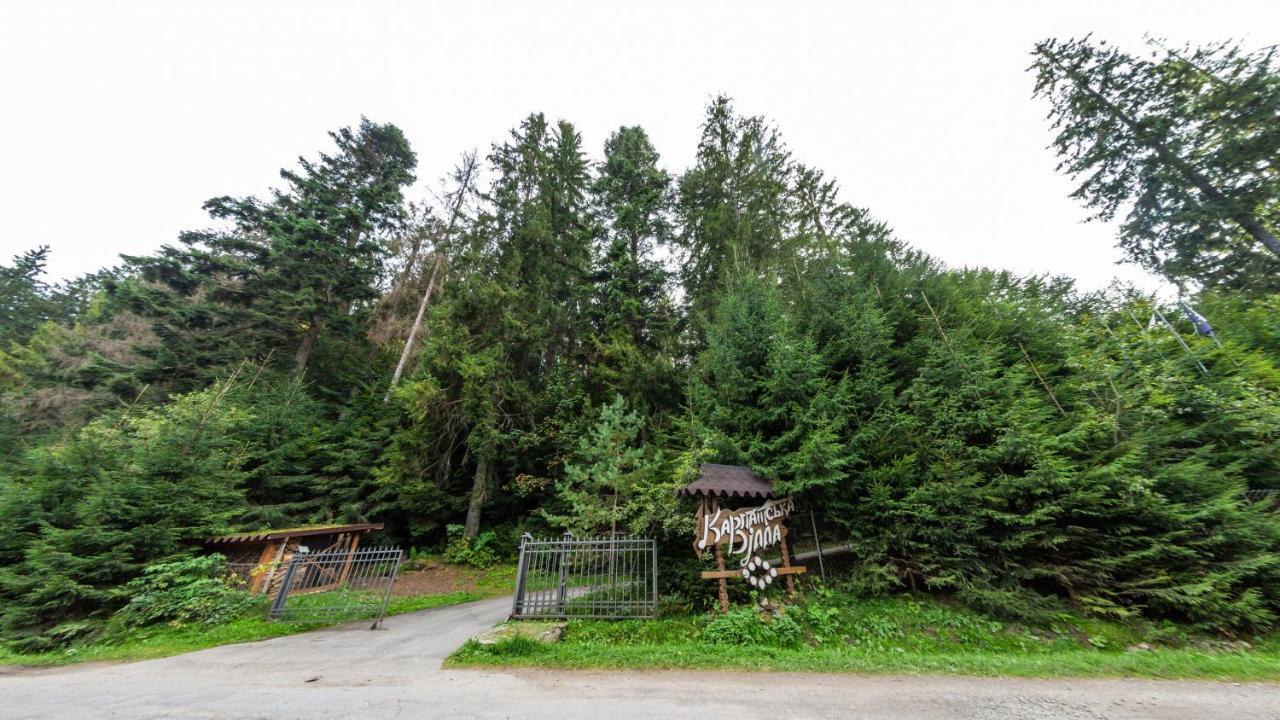 Karpatska Villa Mykulychyn Bagian luar foto