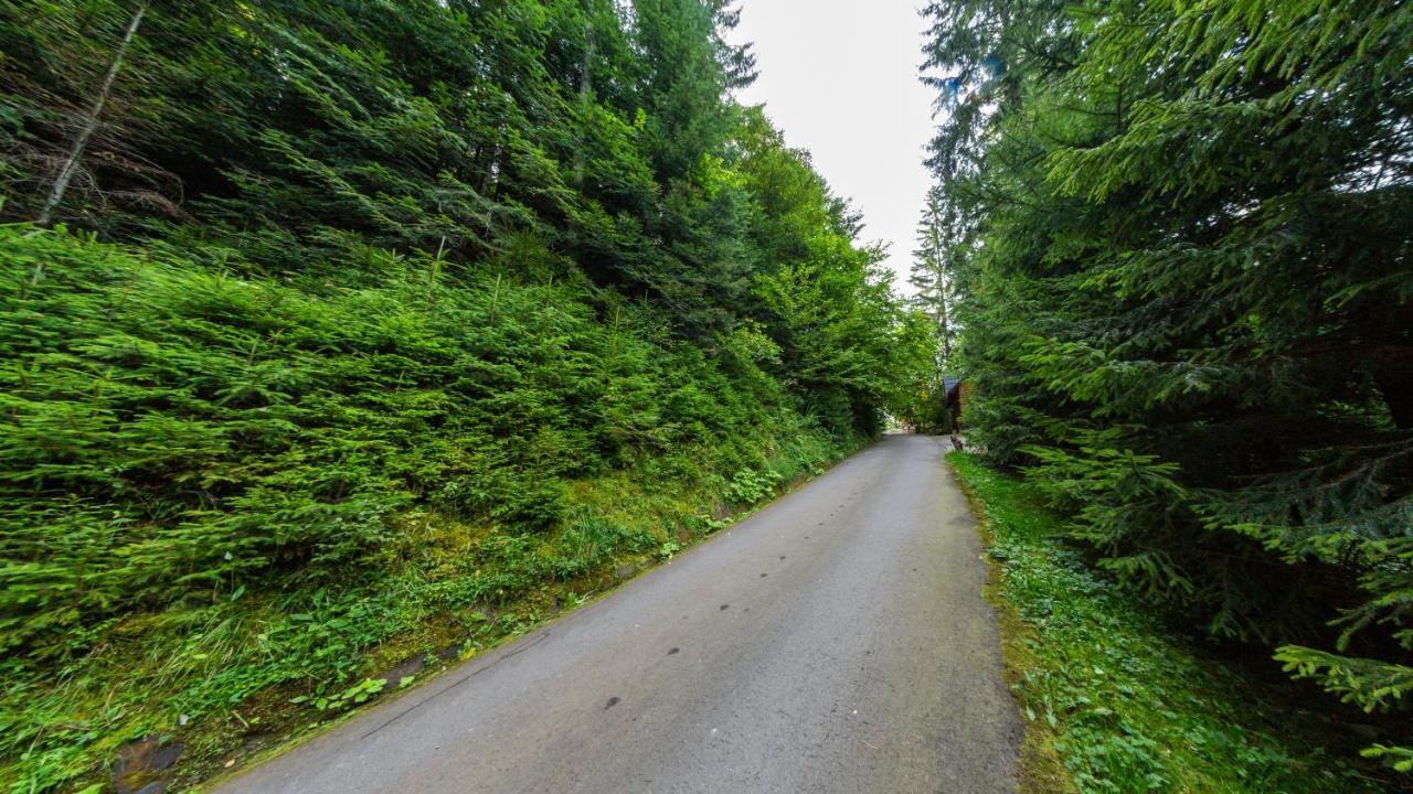 Karpatska Villa Mykulychyn Bagian luar foto